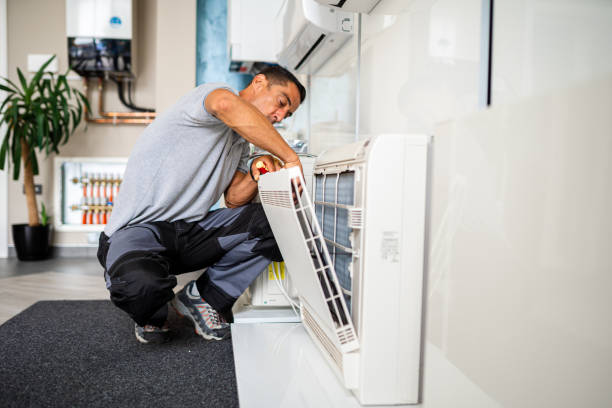 Best Air Duct Mold Removal  in New Bern, NC