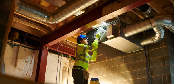 Air Duct Mold Removal in New Bern, NC